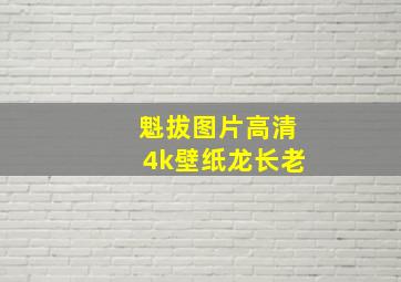 魁拔图片高清4k壁纸龙长老