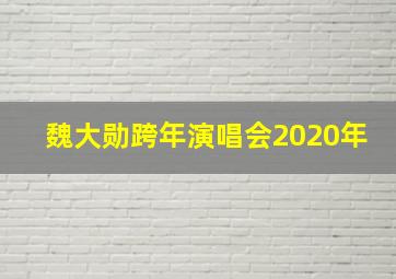 魏大勋跨年演唱会2020年