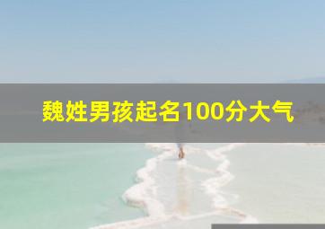 魏姓男孩起名100分大气