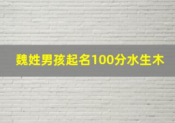 魏姓男孩起名100分水生木