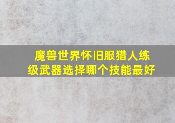 魔兽世界怀旧服猎人练级武器选择哪个技能最好