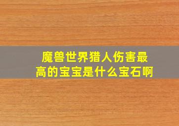 魔兽世界猎人伤害最高的宝宝是什么宝石啊