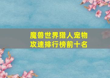 魔兽世界猎人宠物攻速排行榜前十名