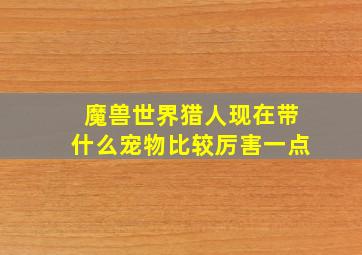 魔兽世界猎人现在带什么宠物比较厉害一点