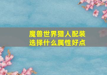 魔兽世界猎人配装选择什么属性好点