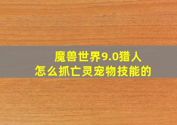 魔兽世界9.0猎人怎么抓亡灵宠物技能的