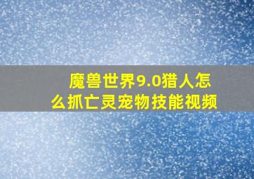 魔兽世界9.0猎人怎么抓亡灵宠物技能视频