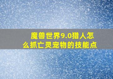 魔兽世界9.0猎人怎么抓亡灵宠物的技能点