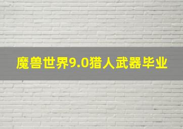 魔兽世界9.0猎人武器毕业