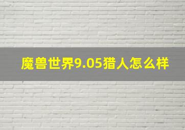 魔兽世界9.05猎人怎么样