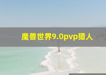 魔兽世界9.0pvp猎人