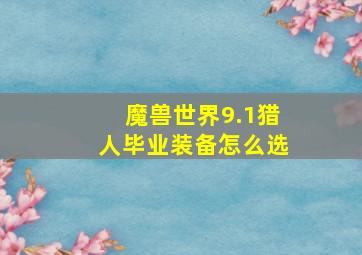 魔兽世界9.1猎人毕业装备怎么选