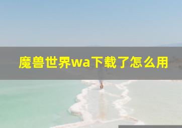 魔兽世界wa下载了怎么用