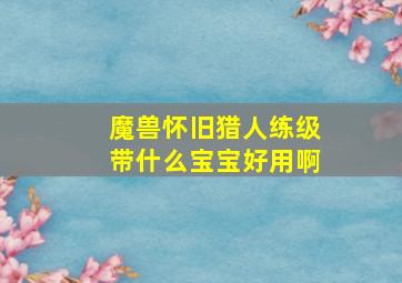 魔兽怀旧猎人练级带什么宝宝好用啊