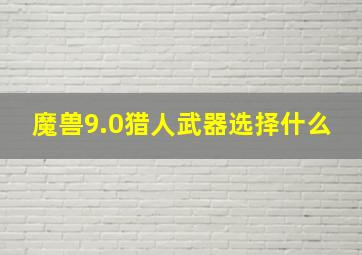 魔兽9.0猎人武器选择什么