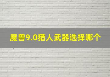 魔兽9.0猎人武器选择哪个