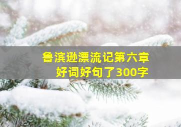 鲁滨逊漂流记第六章好词好句了300字