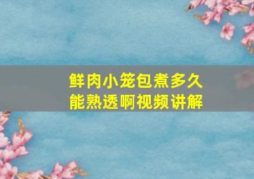 鲜肉小笼包煮多久能熟透啊视频讲解