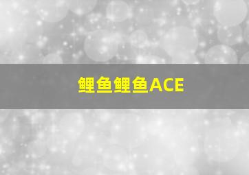 鲤鱼鲤鱼ACE