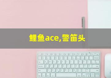 鲤鱼ace,警笛头