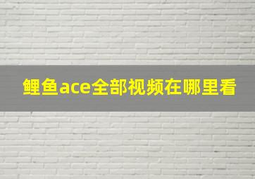 鲤鱼ace全部视频在哪里看