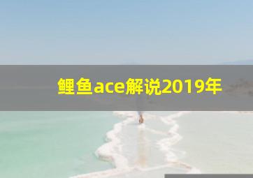 鲤鱼ace解说2019年