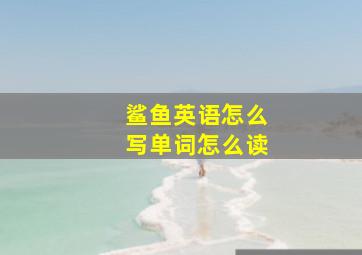 鲨鱼英语怎么写单词怎么读