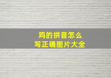 鸡的拼音怎么写正确图片大全