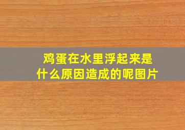 鸡蛋在水里浮起来是什么原因造成的呢图片