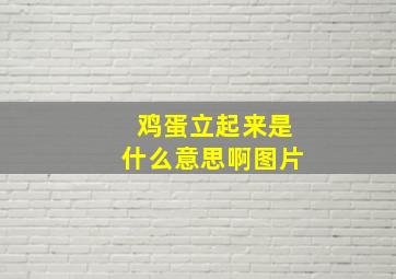 鸡蛋立起来是什么意思啊图片