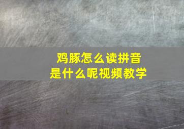 鸡豚怎么读拼音是什么呢视频教学