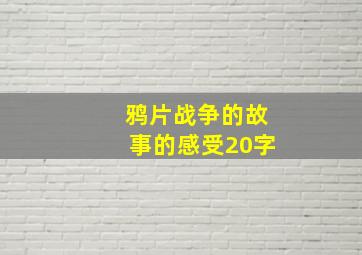 鸦片战争的故事的感受20字