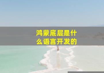 鸿蒙底层是什么语言开发的