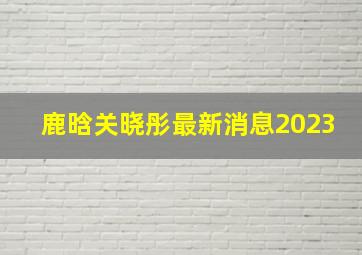 鹿晗关晓彤最新消息2023