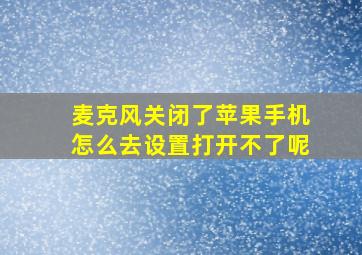 麦克风关闭了苹果手机怎么去设置打开不了呢