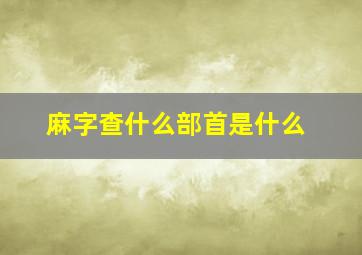 麻字查什么部首是什么