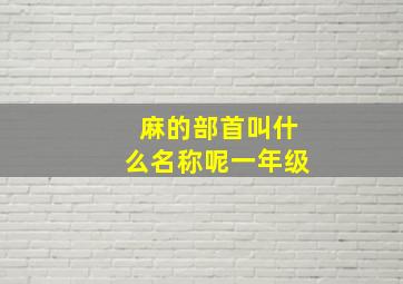 麻的部首叫什么名称呢一年级