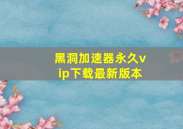 黑洞加速器永久vip下载最新版本