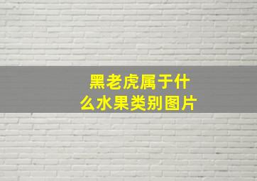 黑老虎属于什么水果类别图片