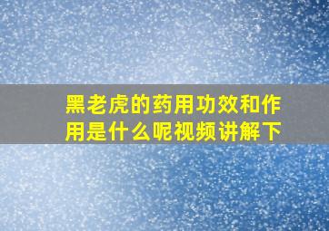 黑老虎的药用功效和作用是什么呢视频讲解下