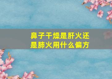 鼻子干燥是肝火还是肺火用什么偏方