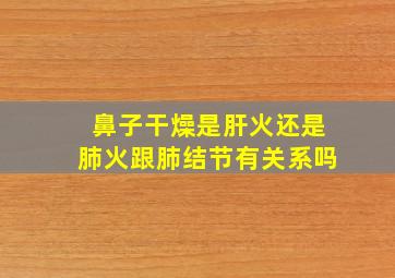 鼻子干燥是肝火还是肺火跟肺结节有关系吗