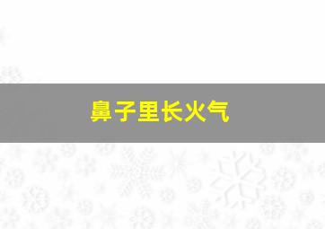 鼻子里长火气