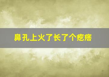 鼻孔上火了长了个疙瘩