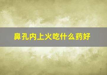 鼻孔内上火吃什么药好