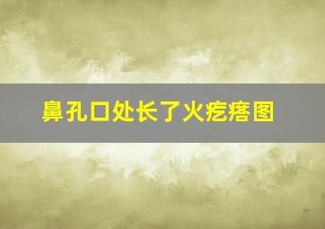 鼻孔口处长了火疙瘩图