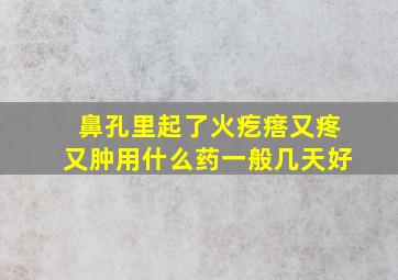 鼻孔里起了火疙瘩又疼又肿用什么药一般几天好