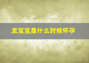 龙宝宝是什么时候怀孕