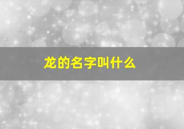 龙的名字叫什么