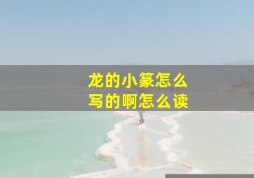 龙的小篆怎么写的啊怎么读